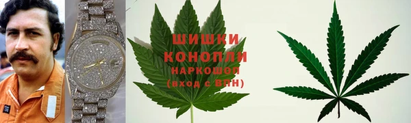 ECSTASY Алзамай