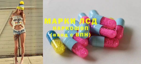 ECSTASY Алзамай
