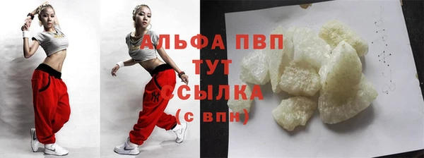 ECSTASY Алзамай