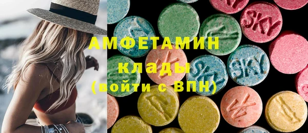 ECSTASY Алзамай