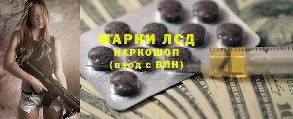 ECSTASY Алзамай