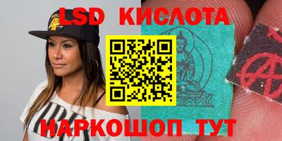 spice Кандалакша