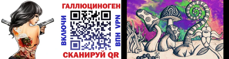 Псилоцибиновые грибы мицелий  наркошоп  Магадан 