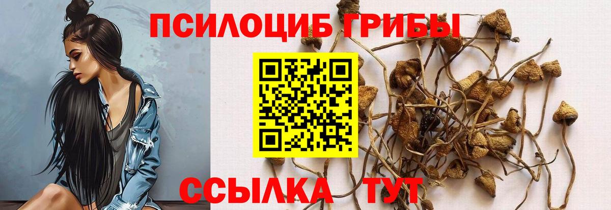Галлюциногенные грибы Psilocybe  Вход с VPN  цены   Псилоцибиновые грибы ЛСД  Магадан 