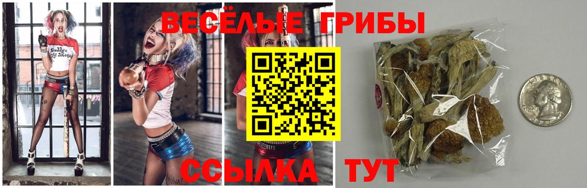 Псилоцибиновые грибы MAGIC MUSHROOMS Магадан